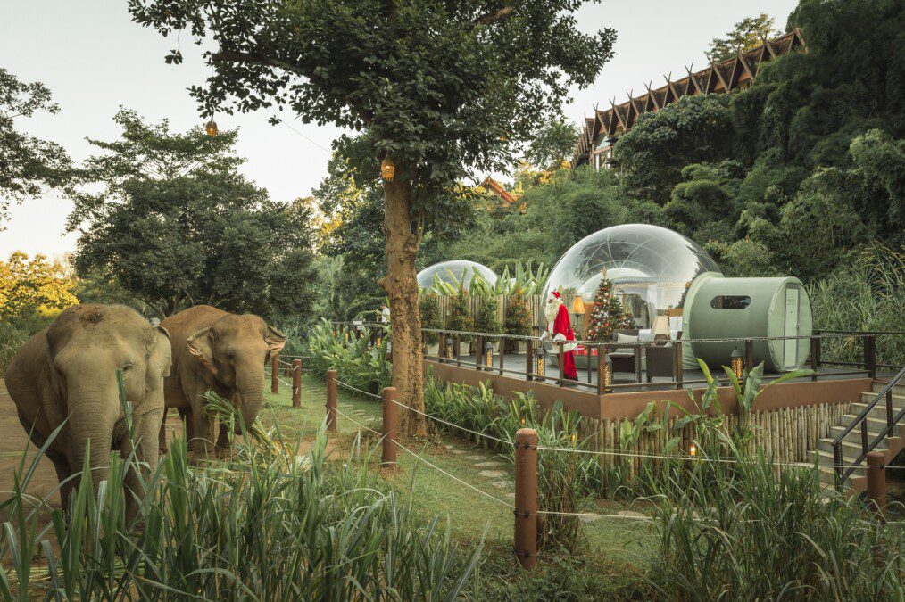 Travel to Thailand: this is the hotel to stay in