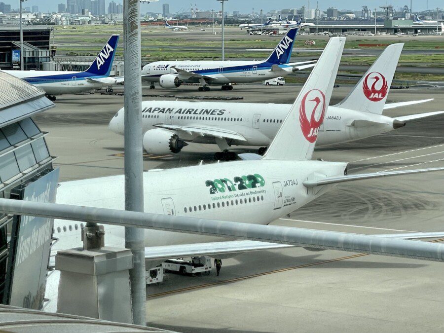 Japan Airlines, l’avviso ‘commovente’ dopo l’incidente a Tokyo: una lezione per tutte le compagnie