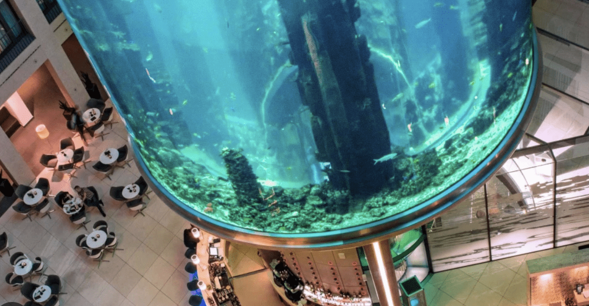 Berlino, esploso l’acquario cilindrico più grande al mondo: strage di pesci tropicali